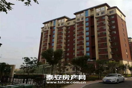 印象欧洲精装小复式130平房本在手满五支持各种按揭